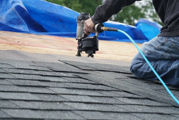 Best Roof Gutter Cleaning  in Woodlawn Beach, FL